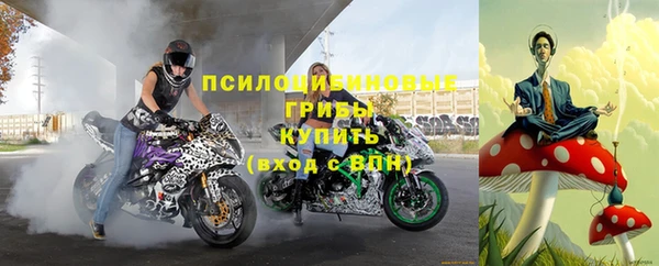 дживик Белоозёрский