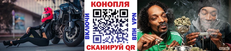 Каннабис планчик  Богородицк 